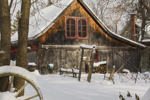 Old wooden rustic barn with red trimmed windows framed by trees in backyard garden in winter,