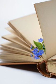 Forget-me-not, flowers on book