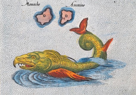 Sea monster, detail from: Sri Lanka as the mythical island of Taprobana, hand-coloured copperplate