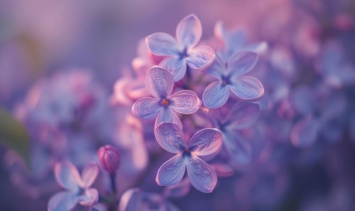 Close-up of lilac blossoms in a garden AI generated