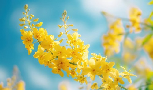 Laburnum flowers with their vibrant color contrasting against a blue sky AI generated