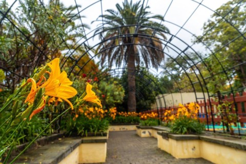 Beautiful path in a botanical garden, sustainable tourism concept in Arucas, Gran Canaria. Spain