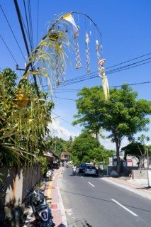 Jewellery artfully woven from palm leaves on bamboo poles for a festival, on a village street in