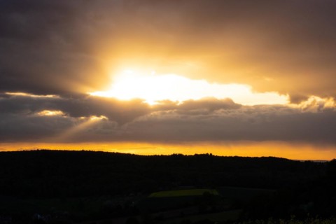 Landscape at sunrise. Beautiful morning landscape with fresh yellow rape fields in spring. Small