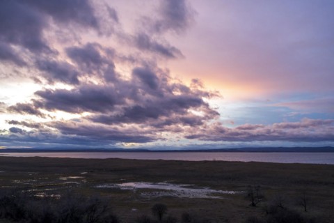 Sunset at Lake Neusiedl, Lake Neusiedl National Park, Burgenland, Austria, Europe