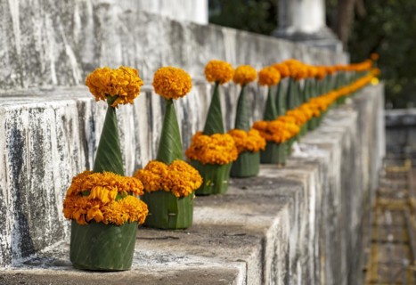 Orange-colored marigold flowers used to pay respect and homage to Buddha, Wat Wisunarat temple,