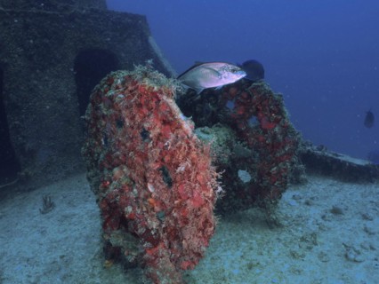 Winch on the wreck of the USS Spiegel Grove, dive site John Pennekamp Coral Reef State Park, Key