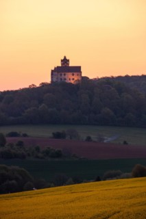 Landscape at sunrise. Beautiful morning landscape with fresh yellow rape fields in spring. Small