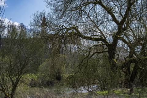 Obermarchtal Abbey, also known as the former imperial abbey of Obermarchtal, hidden behind trees on