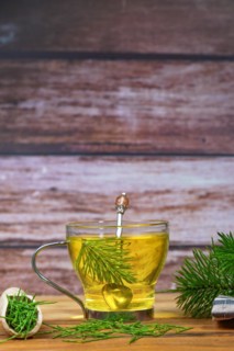 Infusion of horsetail Equisetum arvense, medicinal plant for health care with fresh branches just