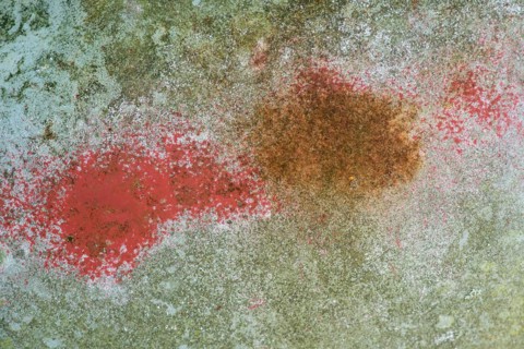 Rust and old paint on car bodywork, Kyrkoe Mosse car graveyard, Ryd, Tingsryd, Kronobergs laen,