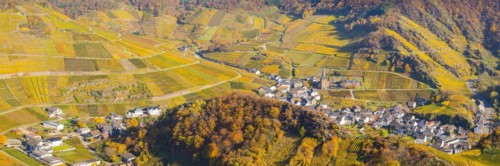 Vineyards in autumn, Mayschoss with parish church, red wine growing region Ahrtal, red wine of the