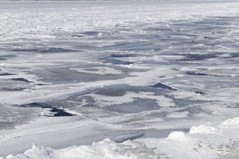 Winter, pack ice in the Saint Lawrence River, Province of Quebec, Canada, North America