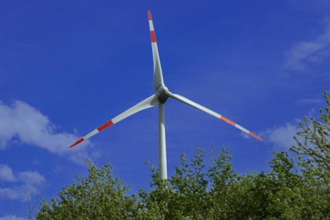 Wind turbine behind green trees at the Avacon substation Helmstedt, Helmstedt, Lower Saxony,