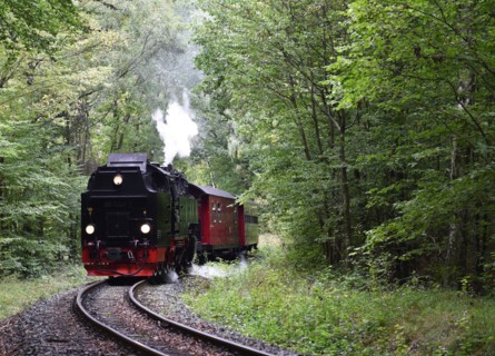 The Harz Narrow Gauge Railway, Brocken Railway, Selketal Railway in the Harz Mountains,