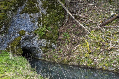 The Grosse Lauter disappears into the limestone, Grosses Lautertal near Lauterach, Munderkingen,