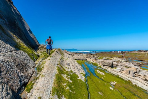 A man next to the marine vegetation in Algorri cove on the coast in the flysch of Zumaia, Gipuzkoa.