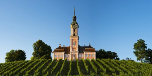 Vineyards, Birnau pilgrimage church, baroque church, exterior view, Uhldingen-Muehlhofen on Lake