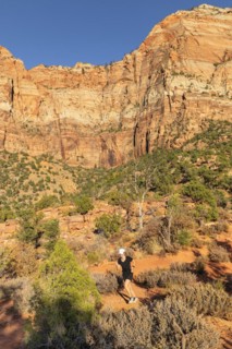 Jogger on the Watchman Trail, Watchman Mountain, Zion National Park, Colorado Plateau, Utah, USA,