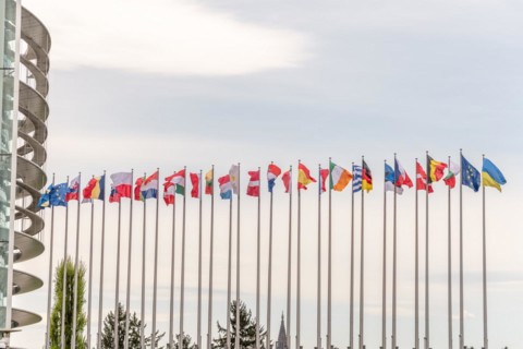 Flags of the European countries in front of the European Parliament in Strasbourg. Bas rhin,