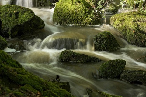Mountain stream in the forest with mossy basalt rocks, blocks of basalt in the stream bed, Tertiary