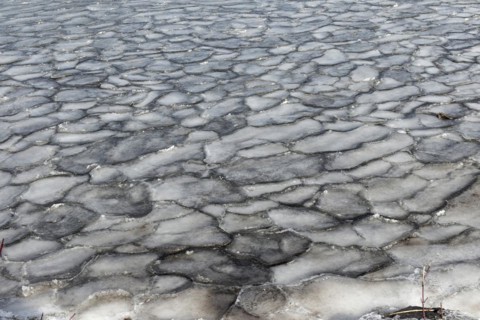 Winter, ice pattern formation, Chateauguay River, Province of Quebec, Canada, North America