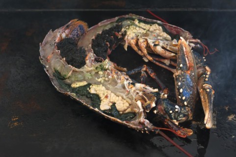 Grilled lobster (homarus) with kabviar and vegetables on a plancha, Atlantic coast, Vandee, France,