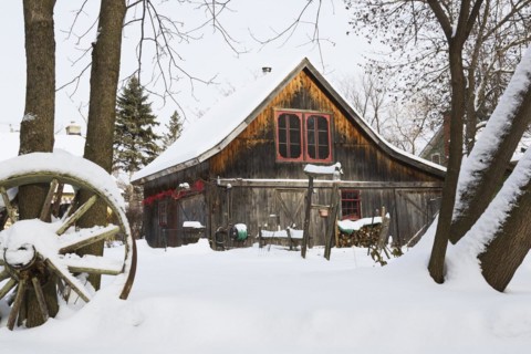 Old wooden rustic barn with red trimmed windows framed by trees in backyard garden in winter,