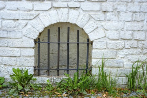 Barred cellar window and dandelion in the historic old town of Rostock, Mecklenburg-Vorpommern,