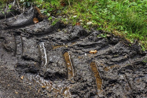 Trace of a tractor tyre on a forest road, Allgaeu, Swabia, Bavaria, Germany, Europe
