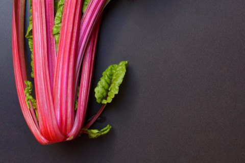 Chard with red stems, Beta vulgaris
