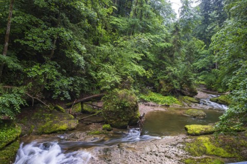 Natural landscape and vegetation in the Eistobel, in the nature reserve of the same name near