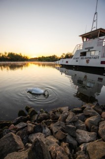 View of a river and its bank. the way to the city with a ferry. Landscape photograph of