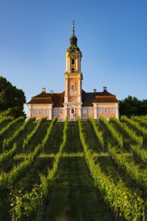 Vineyards, Birnau pilgrimage church, baroque church, exterior view, Uhldingen-Muehlhofen on Lake