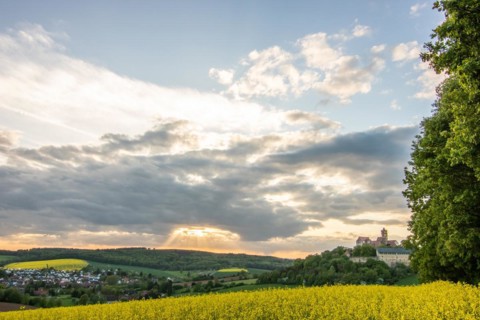 Landscape at sunrise. Beautiful morning landscape with fresh yellow rape fields in spring. Small