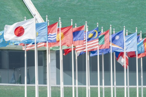 Many flags in front of the United Nations Conference Centre, Bangkok, Thailand, Asia