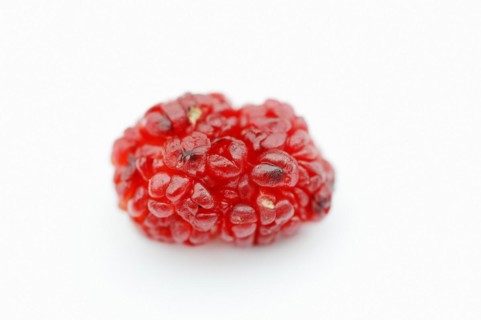 Strawberry spinach (Chenopodium foliosum, Blitum virgatum), fruit on a white background, vegetable