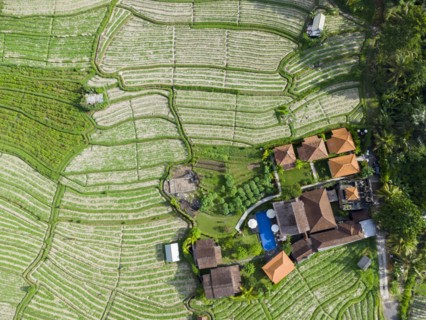 Hotel Kubu Sakian Villa and extension of Pak Choi in Sidemen, Amed, Karangasem, Bali, Indonesia,