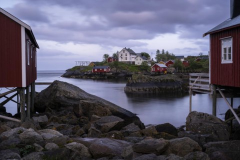 Typical red wooden houses on wooden stilts (rorbuer) in Nusfjord, white houses in the background.