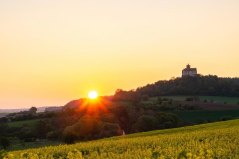Landscape at sunrise. Beautiful morning landscape with fresh yellow rape fields in spring. Small
