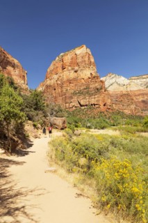 Hikers on the Angels Landing Trail, Zion National Park, Colorado Plateau, Utah, USA, Zion National