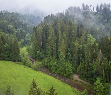 Misty natural landscape and view down into the Eistobel in the nature reserve of the same name in