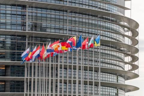 Flags of the European countries in front of the European Parliament in Strasbourg. Bas rhin,