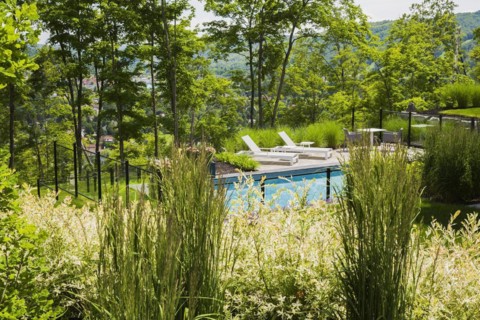 View through ornamental grass plants and shrubs of two white long chairs on edge of in-ground