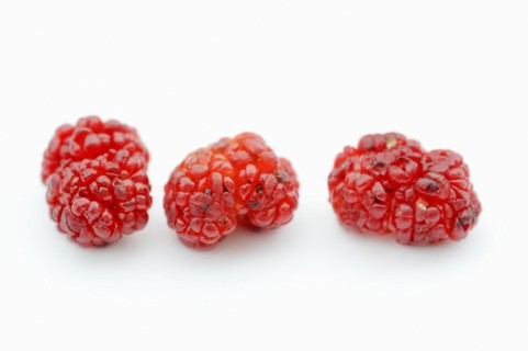 Strawberry spinach (Chenopodium foliosum, Blitum virgatum), fruits on a white background, vegetable