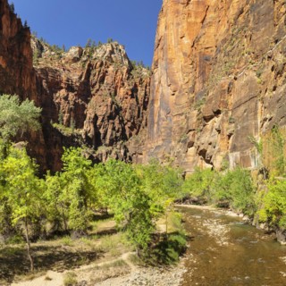 Riverside Walk, Temple of Sinawava, Zion National Park, Colorado Plateau, Utah, USA, Zion National