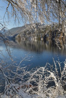 Hotel Alpenrose am Alpsee, Schwangau, Ostallgaeu, Swabia, Bavaria, Germany, Schwangau, Ostallgaeu,