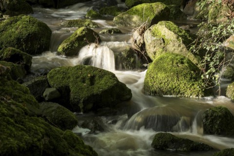 Mountain stream in the forest with mossy basalt rocks, blocks of basalt in the stream bed, Tertiary