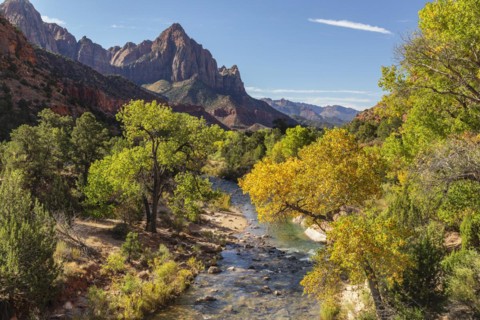 View from Virgin River to Watchman Mountain, Zion National Park, Colorado Plateau, Utah, USA, Zion