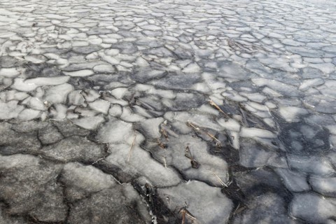 Winter, ice pattern formation, Chateauguay River, Province of Quebec, Canada, North America